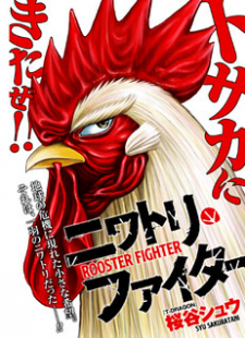 Rooster Fighter: featured image