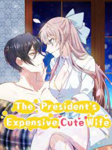 The President's Expensive, Cute Wife