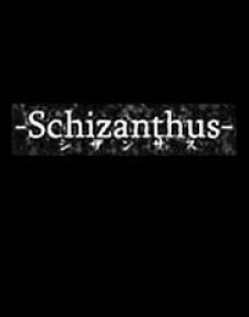 Schizanthus