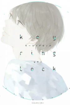 Keyring Lock