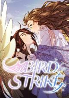 Bird Strike