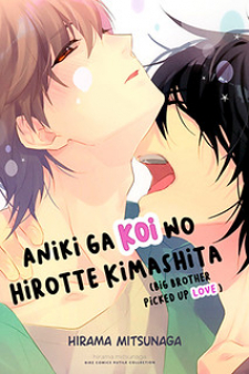 Aniki ga Koi wo Hirotte Kimashita