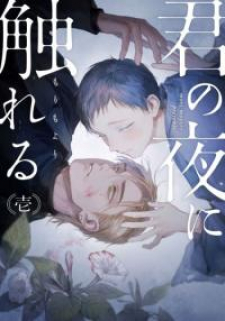 Kimi no yoru ni fureru