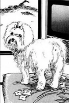 Junji Ito's Dog Diary