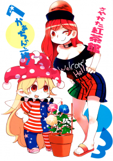 Touhou - Heca-chan to Issho! (Doujinshi)