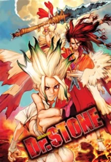 Dr. Stone